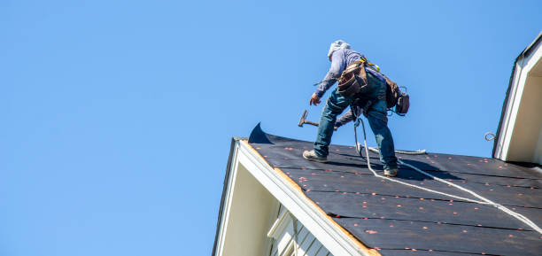 Roof Gutter Cleaning in Diablo Grande, CA